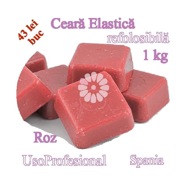 Ceara elastica