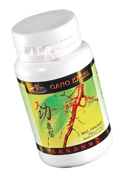 Ganoderma