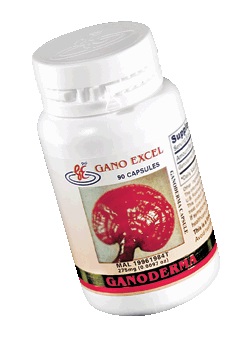 Ganoderma