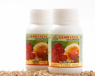 Ganoderma