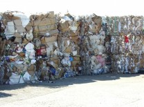 Colectare carton Ploiesti