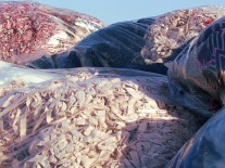 Colectare deseuri reciclabile