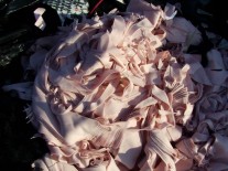 Colectare deseuri reciclabile