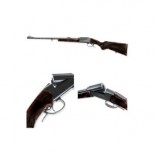 Arme de vanatoare