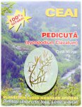 Ceaiuri plante medicinale