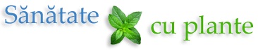Magazin online produse naturiste