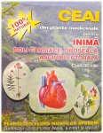 Ceaiuri plante medicinale