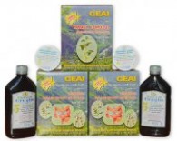 Tratament naturist tranzit intestinal
