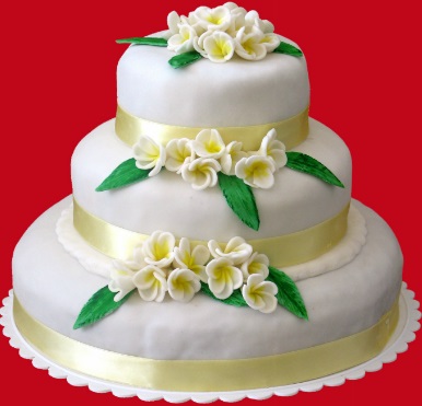 Torturi nunta Ramnicu Valcea