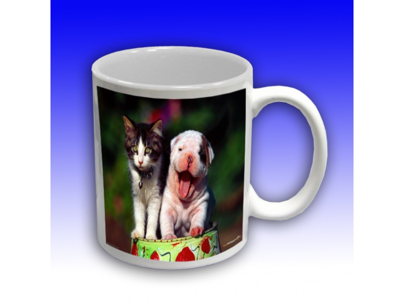 Cani personalizate
