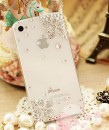 Accesorii iPhone