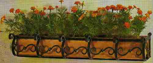 Jardiniere fier forjat