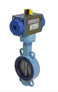 Robineti clapa fluture