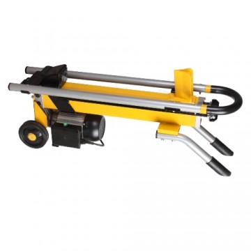 Despicator busteni