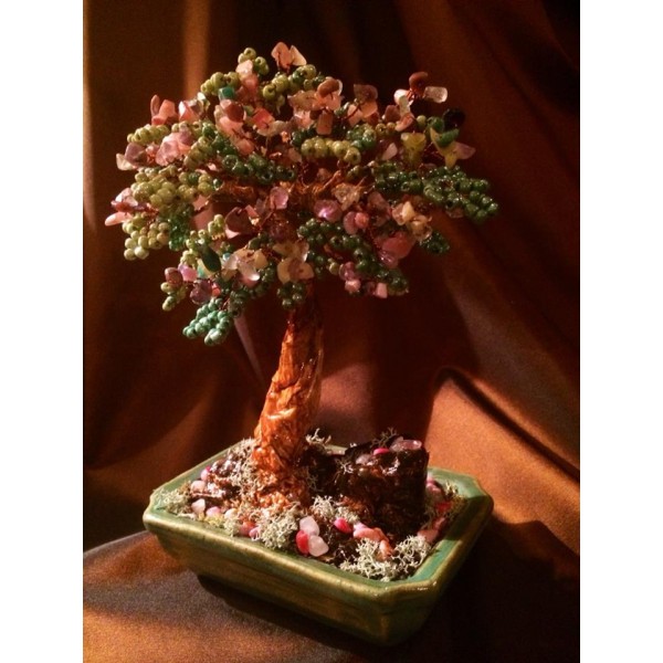 Bonsai cu zodii