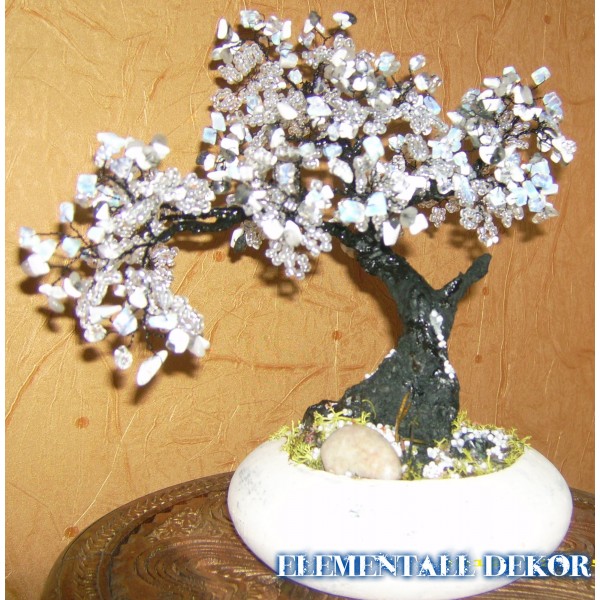 Bonsai cu zodii
