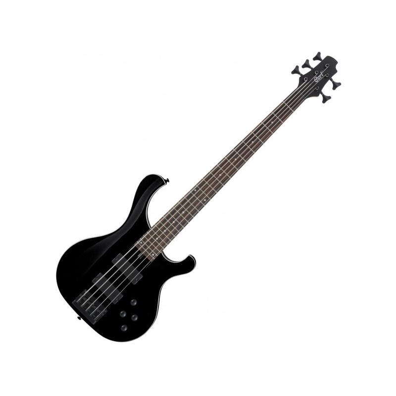 Chitare bass