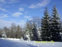 Servicii foto video Dambovita