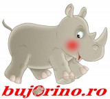 SC Bujorino Decor SRL
