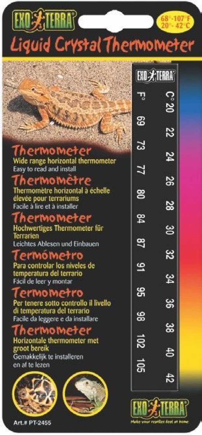 Accesorii terarii