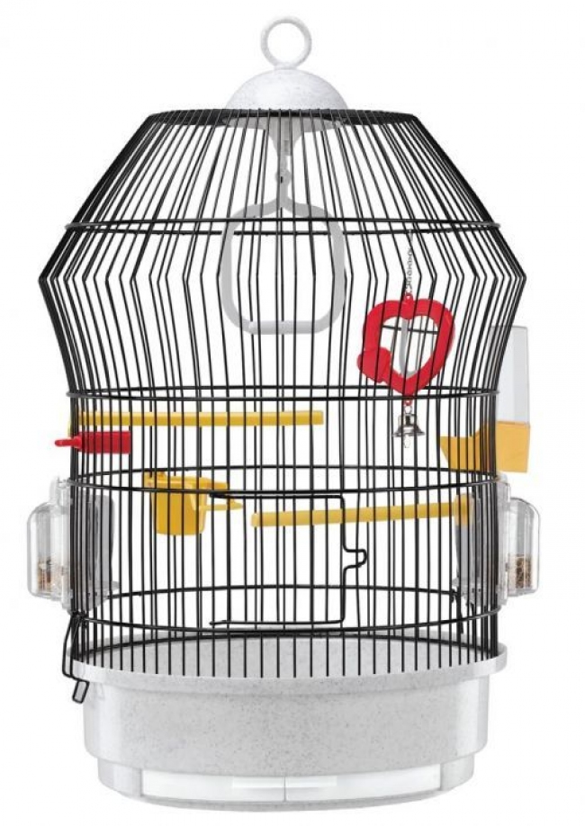 Colivii pasari