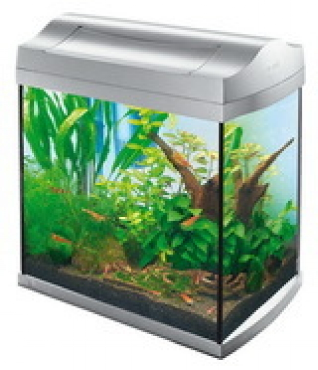 ACVARIU TETRA AQUAART 30 30.00 L