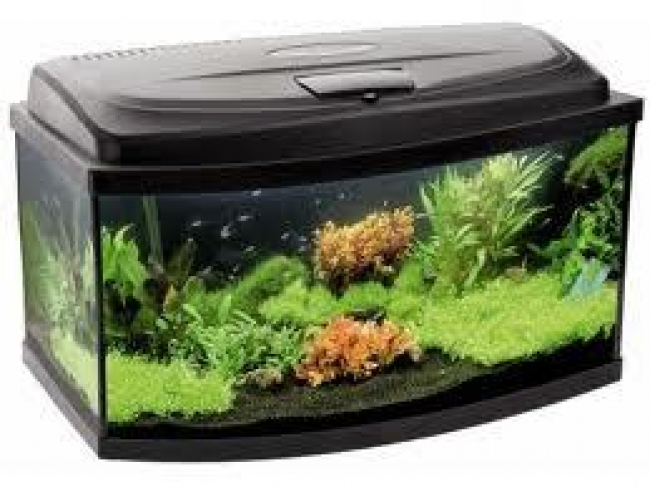 ACVARIU CLASIC OVAL 80 Aquael 102.00 L