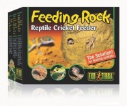 Hranitoare reptile