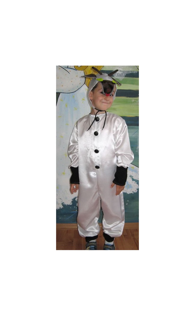 Costume serbare