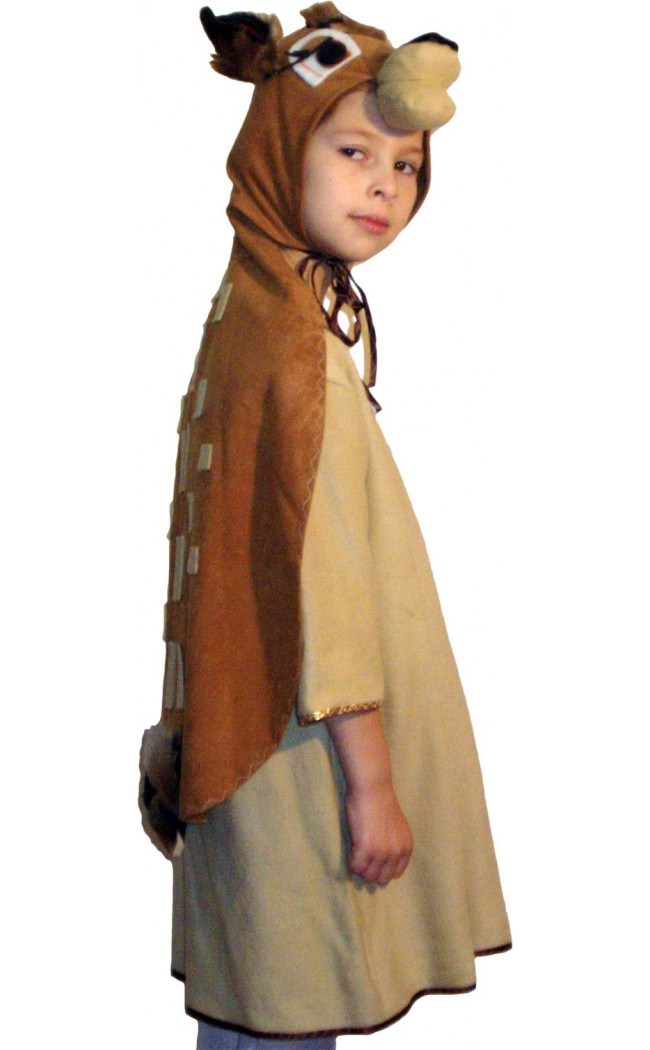Costume serbare