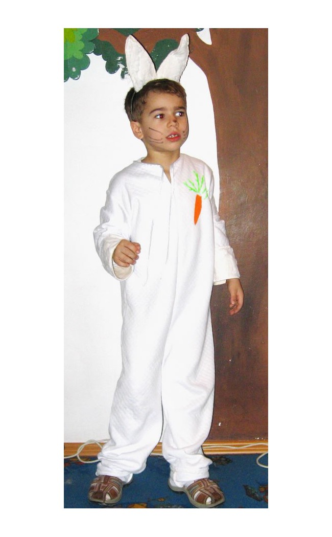 Costume serbare