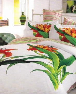 Lenjerie de pat bumbac