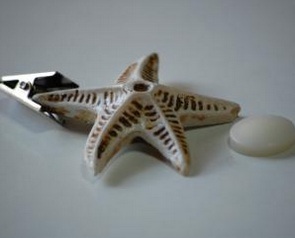 Accesorii perdele