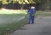 Dezinsectie Ploiesti