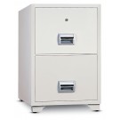 Organizatoare