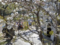 Oferte de primavara Costinesti