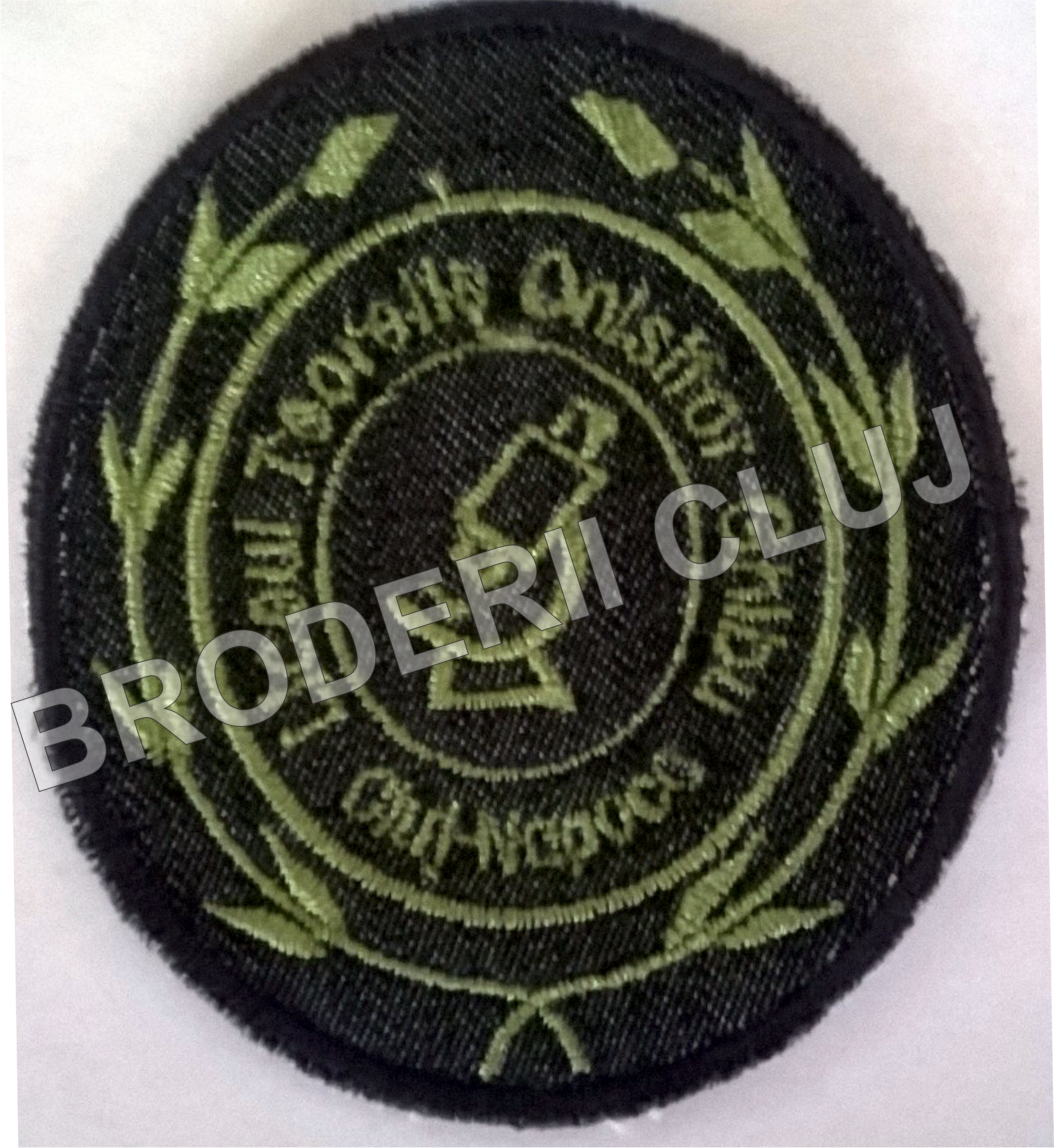 Broderii scoli