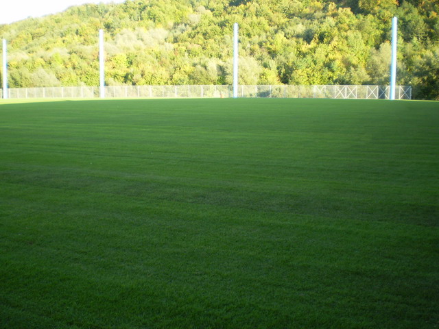 Gazon terenuri de fotbal