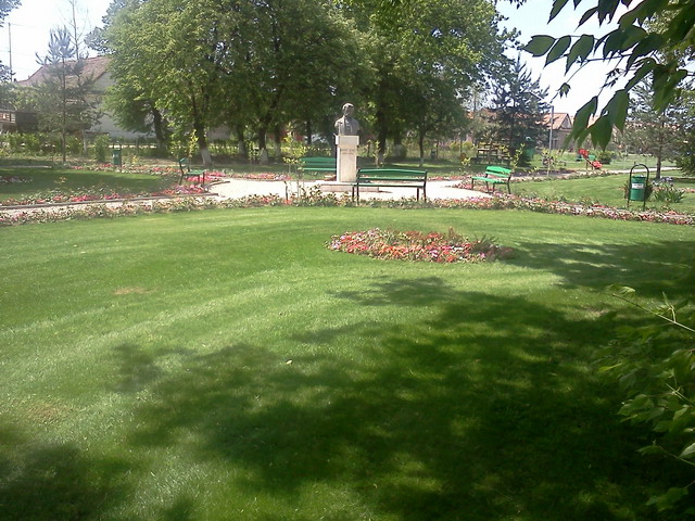 Gazon parcuri publice