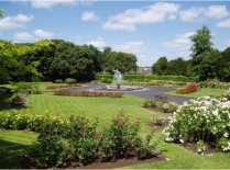 Proiectare spatii verzi