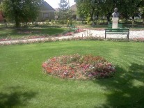 Plantari plante ornamentale