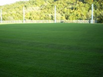 Gazon terenuri de fotbal