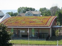 Terase verzi