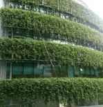 Gradini verticale