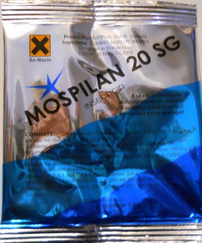 Insecticide plante