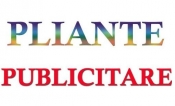 Grafica publicitara