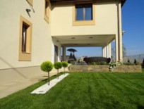 Gazonare