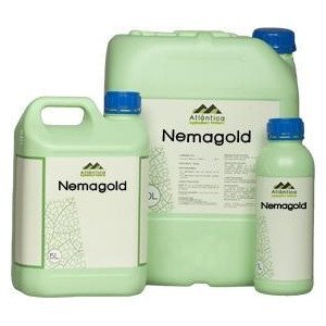Insecticide legume