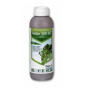 Fungicide legume
