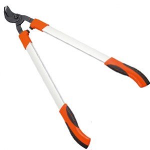 Cleste gradinarit